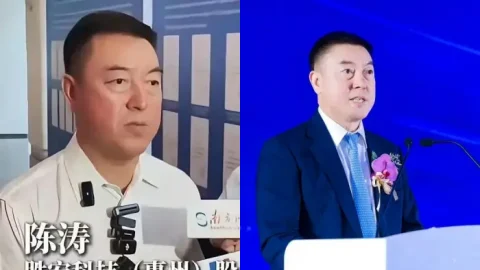 陈涛电梯搂吻女网红
