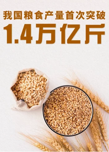 2025年中国粮食产量创新高